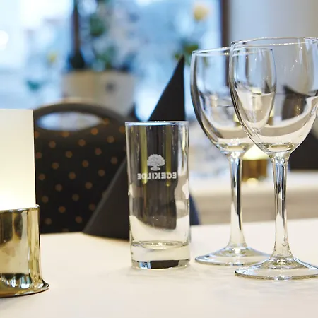 Phonix Szálloda Brønderslev