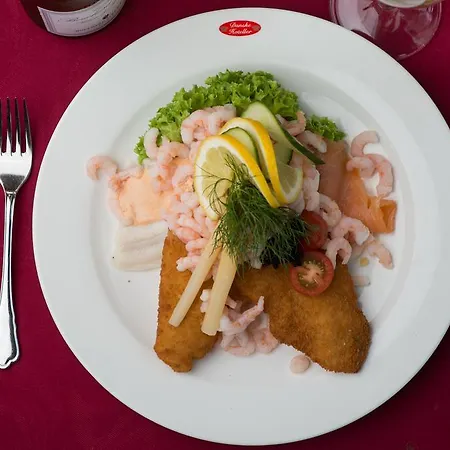 Phonix Szálloda Brønderslev