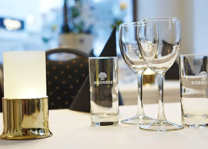 Phonix Hotel Brønderslev